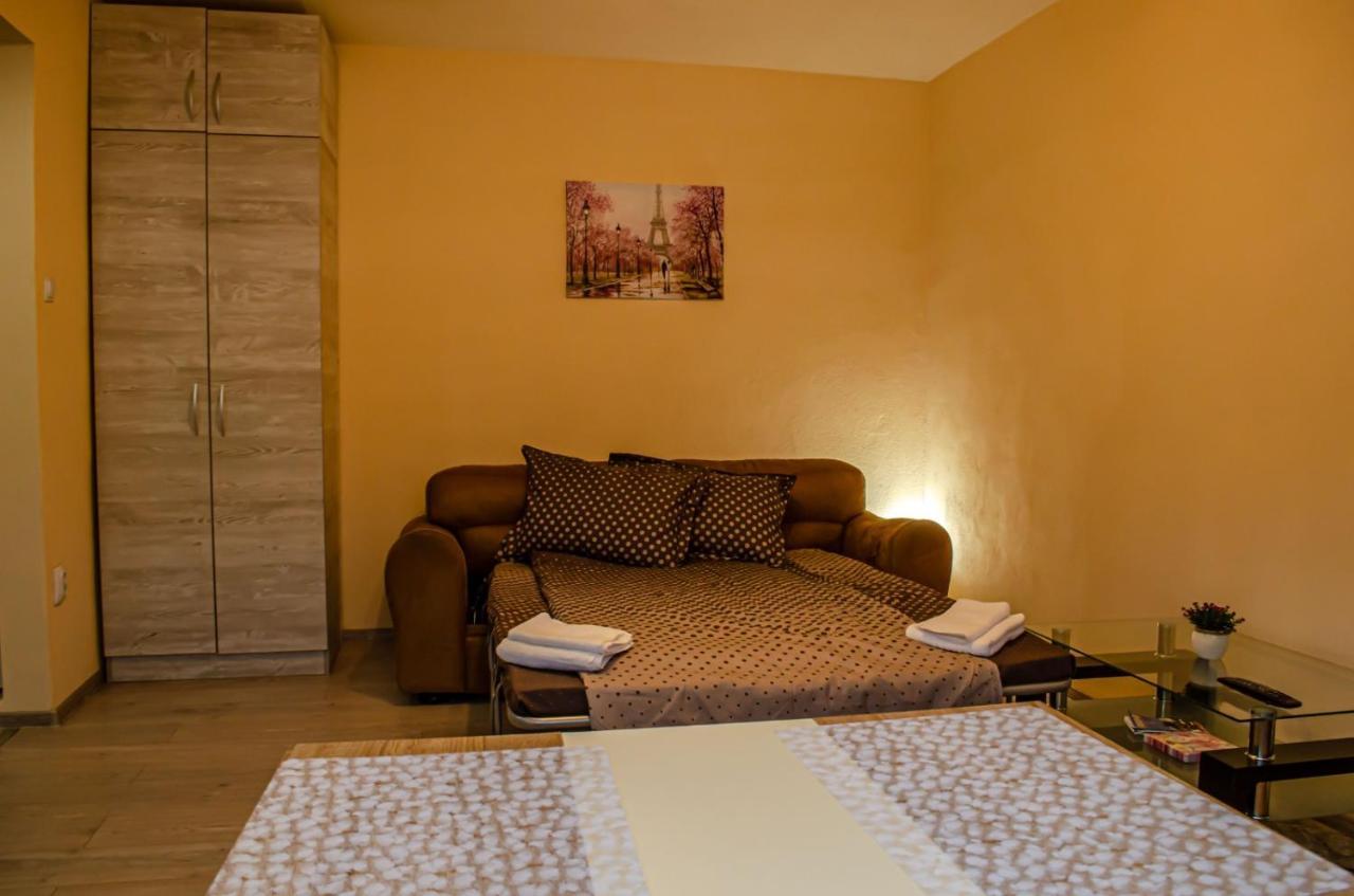Schaessburg Apartment #1 Сигишоара Экстерьер фото
