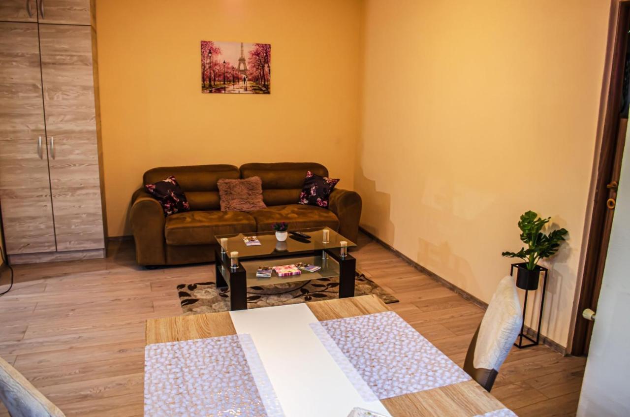 Schaessburg Apartment #1 Сигишоара Экстерьер фото