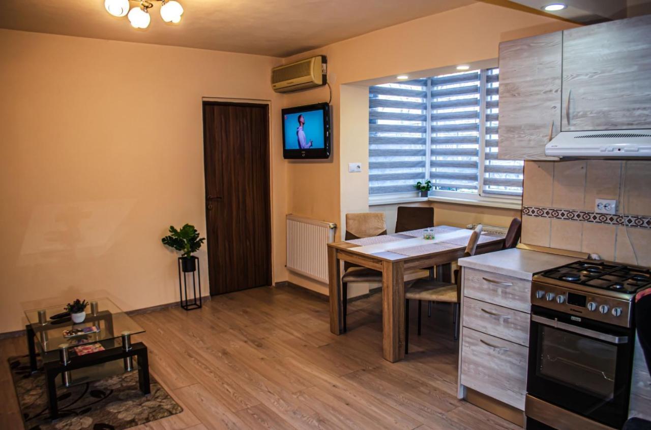 Schaessburg Apartment #1 Сигишоара Экстерьер фото